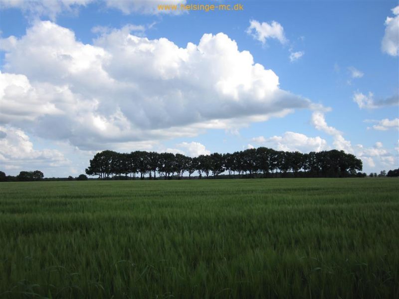 090815 143044 img