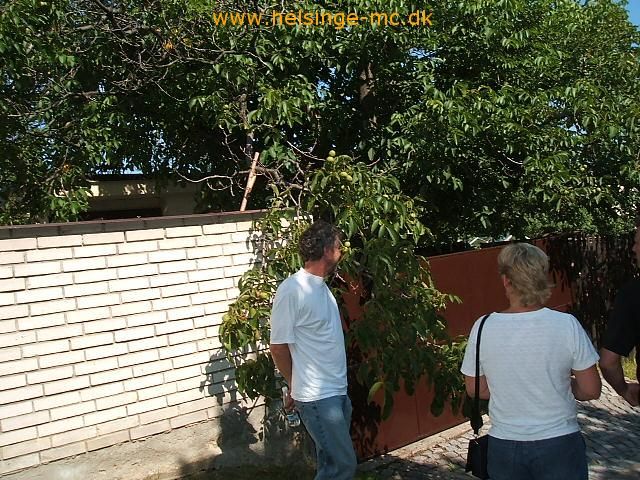 260806 204450 brno 2006