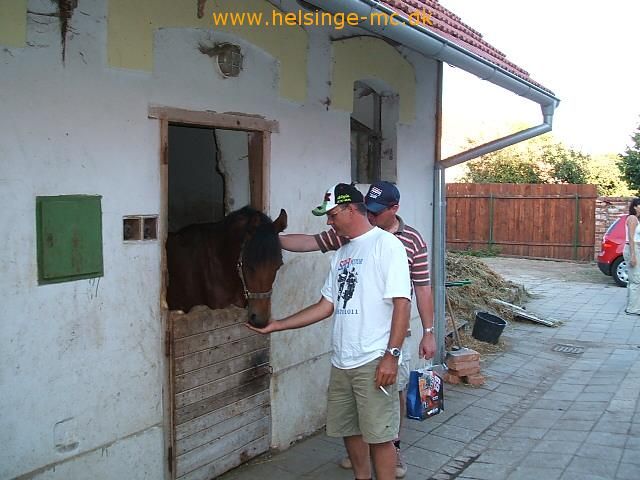 260806 204639 brno 2006