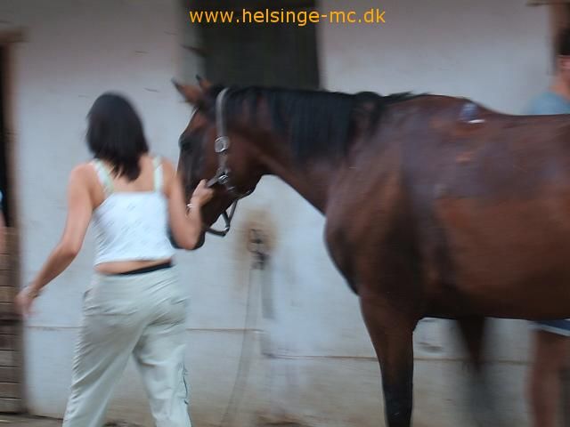 260806 204639 brno 2006